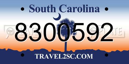 8300592 South Carolina License Plate