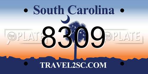8309 South Carolina License Plate