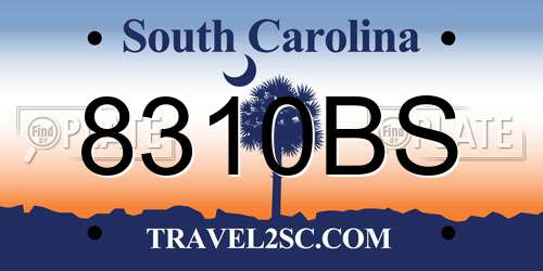 8310BS South Carolina License Plate