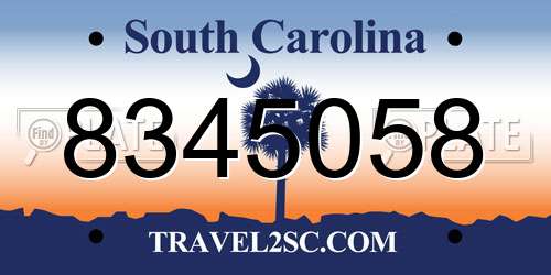 8345058 South Carolina License Plate
