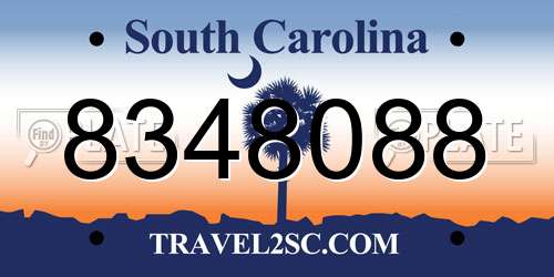 8348088 South Carolina License Plate