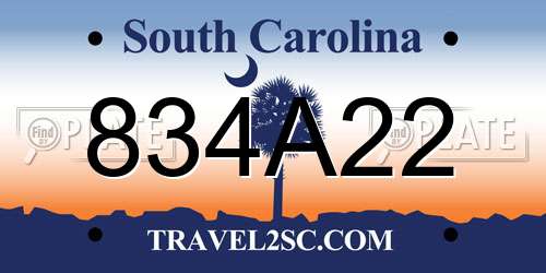 834A22 South Carolina License Plate