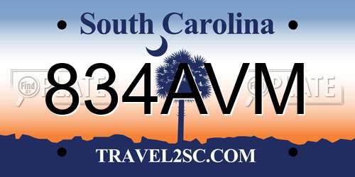 834AVM South Carolina License Plate