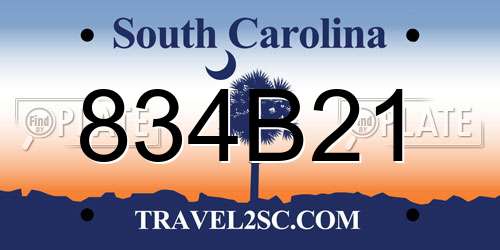 834B21 South Carolina License Plate