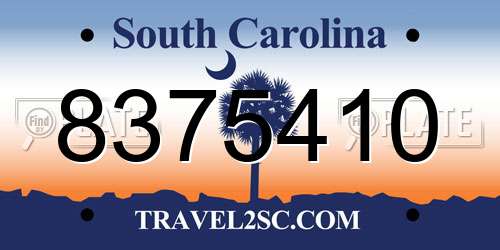 8375410 South Carolina License Plate