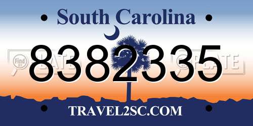 8382335 South Carolina License Plate