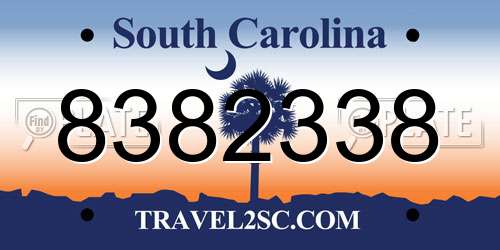 8382338 South Carolina License Plate