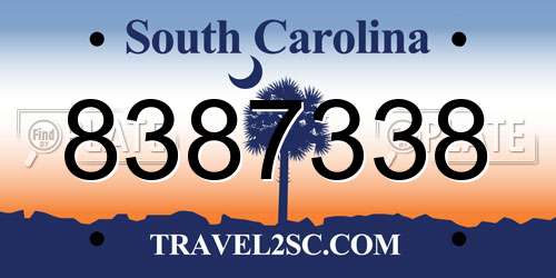 8387338 South Carolina License Plate