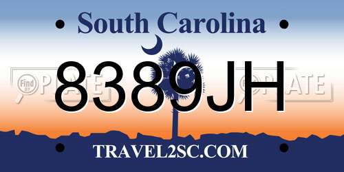 8389JH South Carolina License Plate