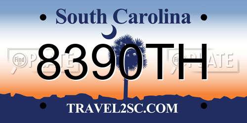8390TH South Carolina License Plate