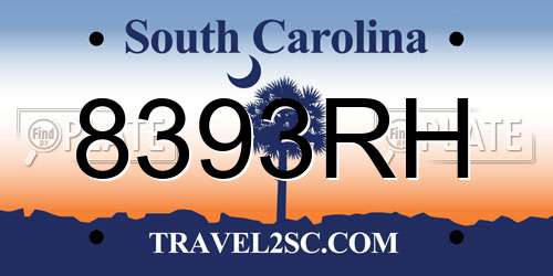 8393RH South Carolina License Plate