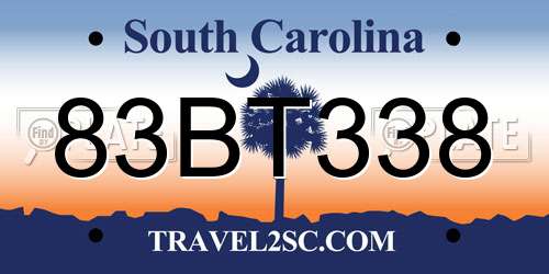 83BT338 South Carolina License Plate