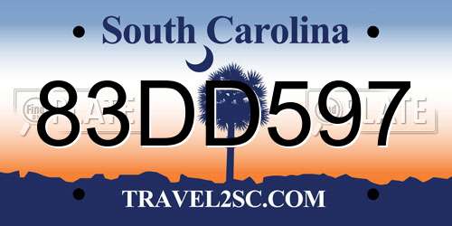 83DD597 South Carolina License Plate