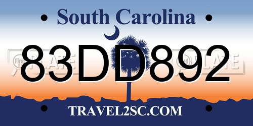 83DD892 South Carolina License Plate