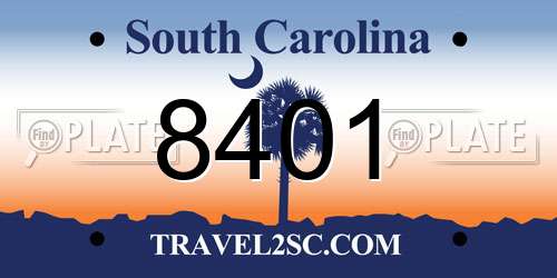 8401 South Carolina License Plate