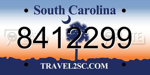 8412299 South Carolina License Plate