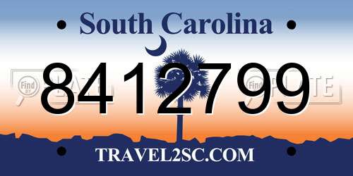 8412799 South Carolina License Plate
