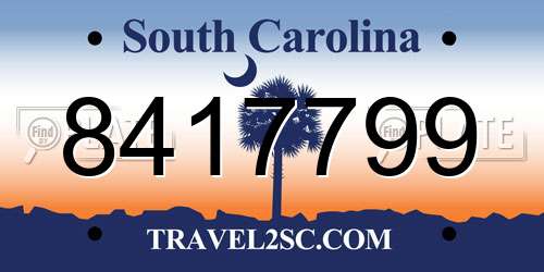 8417799 South Carolina License Plate