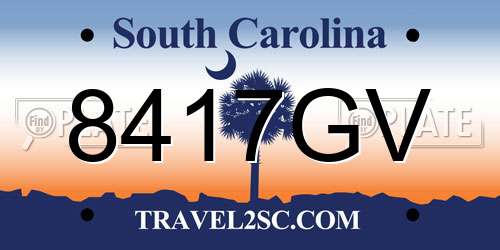 8417GV South Carolina License Plate