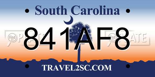 841AF8 South Carolina License Plate