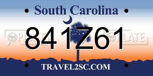 841Z61 South Carolina License Plate