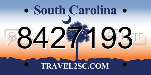 8427193 South Carolina License Plate