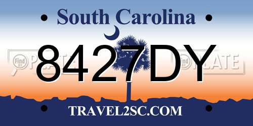 8427DY South Carolina License Plate