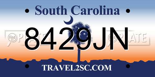8429JN South Carolina License Plate
