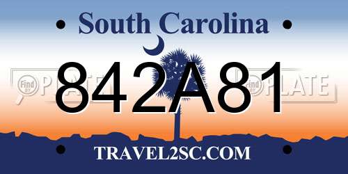 842A81 South Carolina License Plate