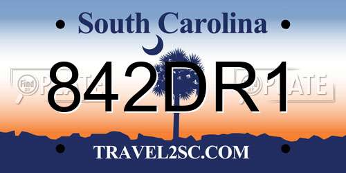 842DR1 South Carolina License Plate