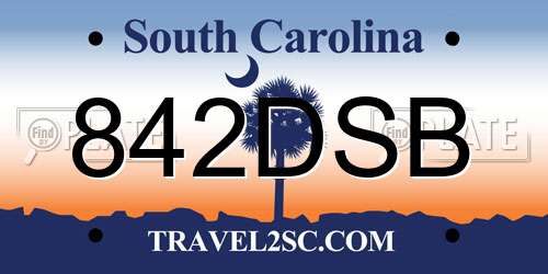 842DSB South Carolina License Plate