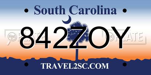 842ZOY South Carolina License Plate