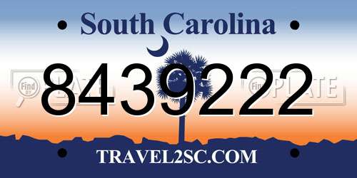 8439222 South Carolina License Plate