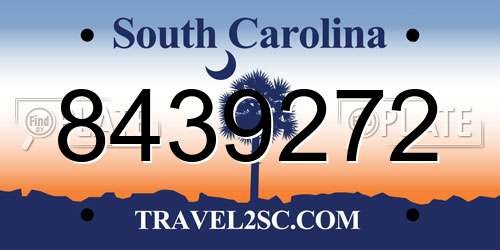 8439272 South Carolina License Plate
