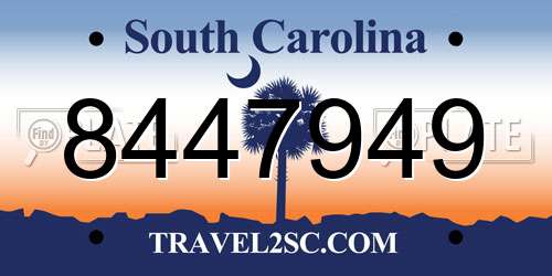 8447949 South Carolina License Plate