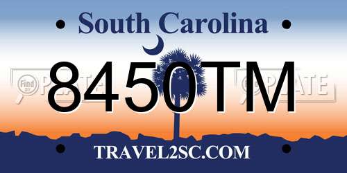 8450TM South Carolina License Plate