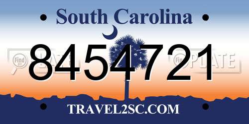 8454721 South Carolina License Plate