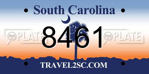 8461 South Carolina License Plate