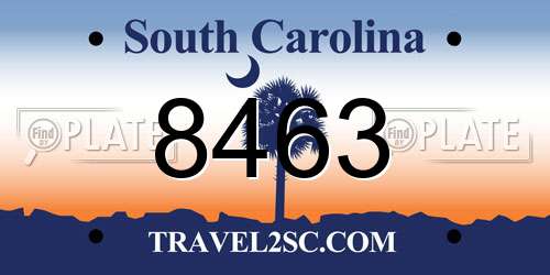8463 South Carolina License Plate