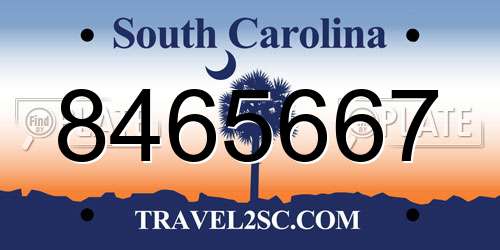 8465667 South Carolina License Plate