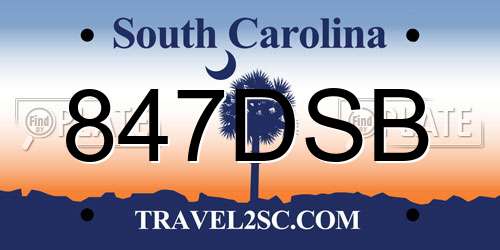 847DSB South Carolina License Plate