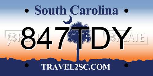 847TDY South Carolina License Plate