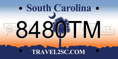 8480TM South Carolina License Plate