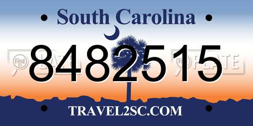 8482515 South Carolina License Plate