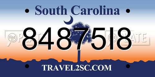 84875I8 South Carolina License Plate