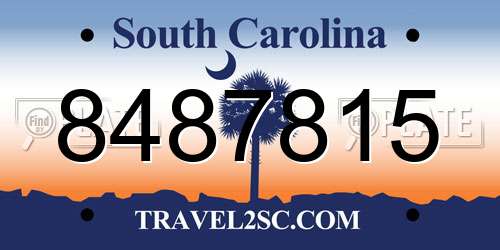 8487815 South Carolina License Plate