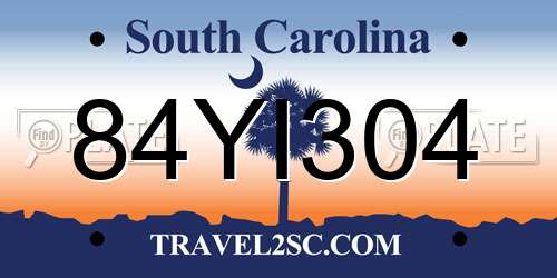 84YI304 South Carolina License Plate
