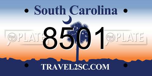 8501 South Carolina License Plate