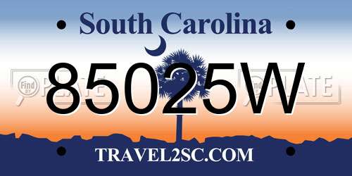 85025W South Carolina License Plate