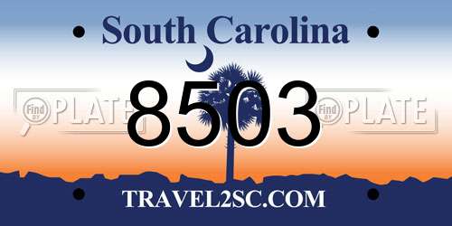 8503 South Carolina License Plate